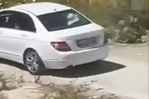 Македонка приведена во Црна Гора, прегазила куче, па сакала да избега!