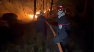 Огромен пожар се приближува кон Бордо, Макрон свика кризен состанок