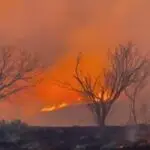 Големи пожари во Франција и Шпанија, евакуирани над 300.000 лица