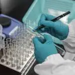 ИЈЗ: Осум случаи на западнонилска треска во Македонија, сите пациенти се хоспитализирани