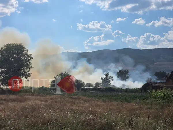 ТППЕ Кичево гаси пожар на ниска вегетација, распламтен во оргомни размери
