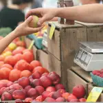Итно предупредување од АХВ пред горштините: Внимавајте што јадете, каде пазарите и како ги чувате продуктите