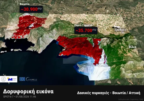 Пожарот во централна Грција што се прошири и во областа Атика се уште активен – уапсени две лица и изгорени над 6.500 хектари