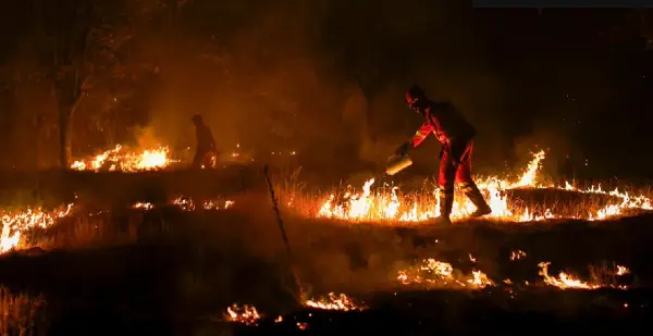 Во изминатото деноноќие 30 пожари, сите се изгаснати, само еден е под контрола
