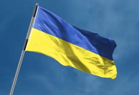 Поранешниот украински командант Валериј Залужни смета дека Украина нема перспектива за членство во НАТО