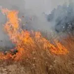 Регистрирани 14 пожари на отворено, активен е пожарот кај Грешница