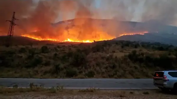 ВИДЕО | Голем пожар беснее во Албанија, 15 семејства беа евакуирани заедно со добитокот и со милениците