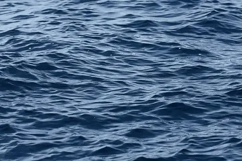 Ниското ниво на реките го загрозува производството во германската хемиска индустрија