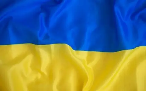 Украински воен омбудсман: Во украинските вооружени сили се борат речиси 16.000 странци