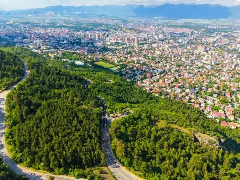 ФОТО: Водно добива моторички парк, паднатите дрвјата во невремето добија нова намена