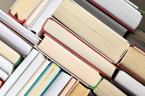 Јапонка уапсена поради откажување на повеќе од 2.000 нарачки од онлајн продавница за книги