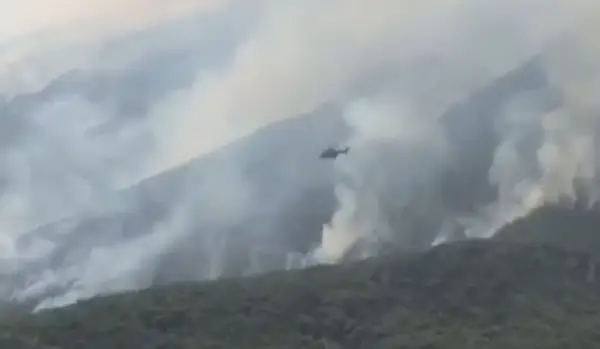 Во Албанија за 24 часа се регистрирани 30 пожари, осум се уште се активни
