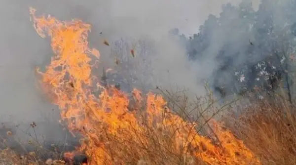 ВНИМАВАЈТЕ: Многу висок ризик од пожари во централна и јужна Македонија