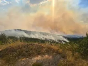 Два пожари на отворено во гостиварско изминатото деноноќие, во земјава 26