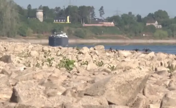 НИСКИОТ ВОДОСТОЈ НА РАЈНА ЌЕ ЈА ПРЕКИНЕ ПЛОВИДБАТА ВО ГЕРМАНИЈА Нивото во средниот дел ќе падне на едноцифрена вредност
