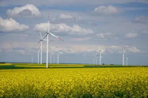 Прелиминарна истрага за ветерните електрани низ цела Грција, по големиот пожар во Виотија