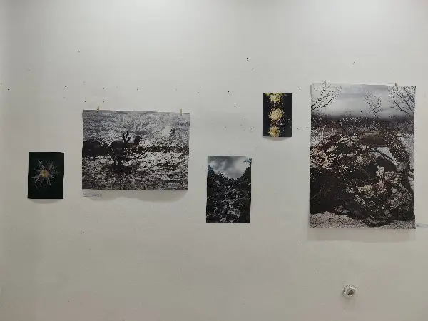 Изложбата „Дома“ е поставка на фотографии и фотоманипулации кои носат спој на две различни уметнички перцепции
