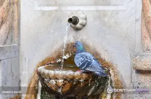 Водата во Гостивар подобрена, но сѐ уште забранета за пиење – Анализите продолжуваат
