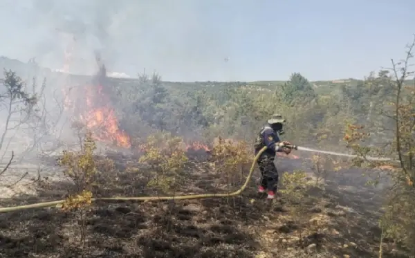 Девет пожари на отворено до 13 часот, пет се активни