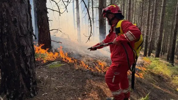 Големи пожари во Албанија, претседателот Бегај апелира на солидарност и одговорност од сите