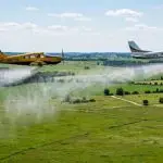 Во Битола, дополнителна дезинсекција против комарци поради зголемениот ризик од Западнонилска треска