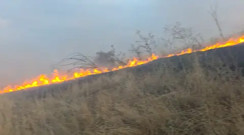 ВИДЕО: Алармантна состојбата со пожарот во село Лознани, огнот се спушти до првите куќи