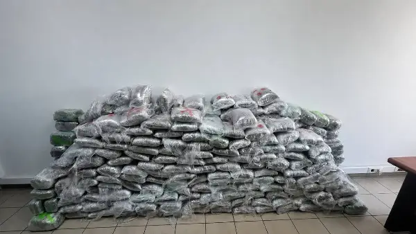Меѓународна полициска акција во Македонија, Косово и Грција: Запленети 300 килограми марихуана, уапсени повеќе лица