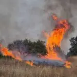 Пресек на пожари до 18 часот: 8 се активни, 2 под контрола