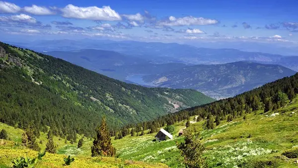 Спасувачка акција на Пелистер кај Мало езеро, има повредено лице