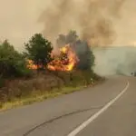 Утрово четири активни пожари низ Македонија