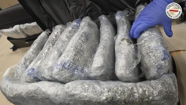 Нови седум осомничени за транспорт на марихуана од Македонија во Србија