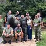НП „Пелистер“ ќе ги скенира мечките-вклучува генетска лупа