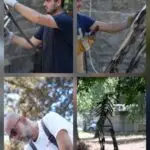 Седум уметници создаваат скулптури за јавен простор на колонијата „Марко Цепенков – Дрен 2026“