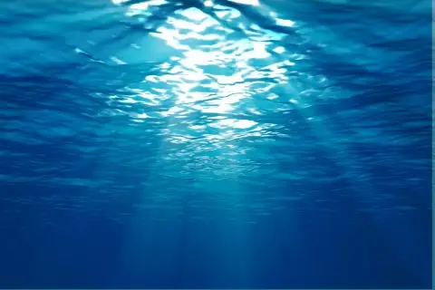 Водата во Северното Море со рекордно висока температура од 21,5 степени