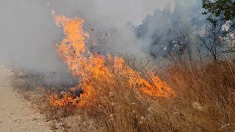 Регистрирани 22 пожара, 8 од нив се активни: На овие места уште гори во Македонија
