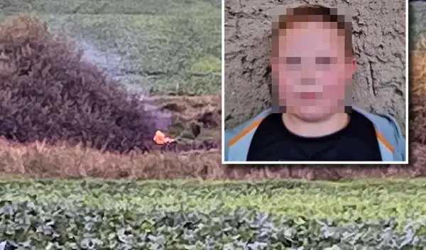 Осумгодишниот Фабијан бил избоден и запален со средство за палење скара- ѝ се суди на девојката на неговиот татко 