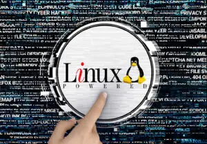 ВИДЕО: Дали Linux е навистина толку побрз од Windows 11?