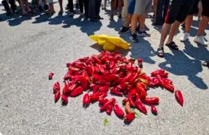 Производители на пиперки денеска на протест: Еден час ќе биде блокиран патот Прилеп – Битола