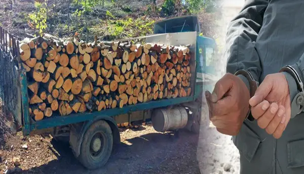 СО ТРАКТОР ИЗГАЗИЛ ПОЛСКИ ПОЛИЦАЕЦ ОД ФРОНТЕКС Го запреле натоварен со дрва