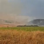 Oган од нива, стрниште, плевна и скара- пет кривични пријави за пожари