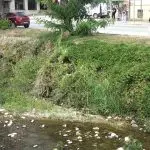 ТРОТОАРОТ-МЕ САКА, НЕ МЕ САКА! КОРИТОТО – ЖИВО ОПАСНО БЕЗ ОГРАДА!