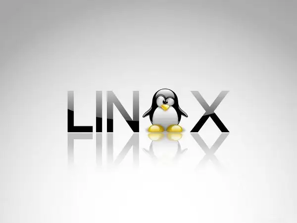 Од хоби во студентска соба до темел на интернетот: како Linux го промени светот