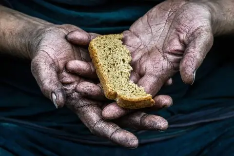 ФАО: До 2030 година до 520 милиони луѓе би можеле да се соочуваат со глад поради конфликтите на Блискиот Исток