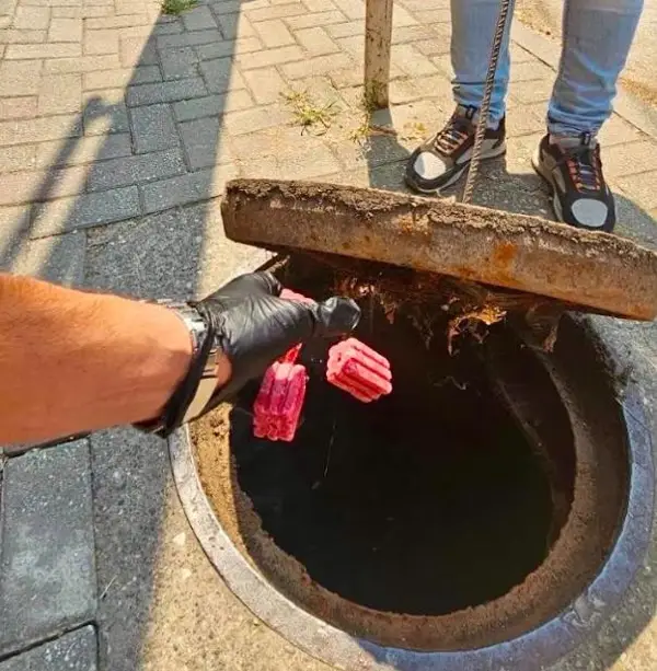Герасимовски: Во понеделник спроведуваме нова вонредна дератизација во Центар, претходната беше спроведена пред само еден месец