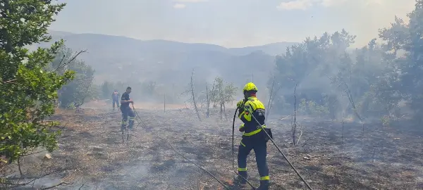Нема активни пожари во државата