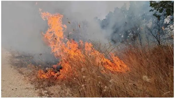 Ѓубре, ниска вегетација и стрниште горат во општините Битола, Бутел и Брвеница