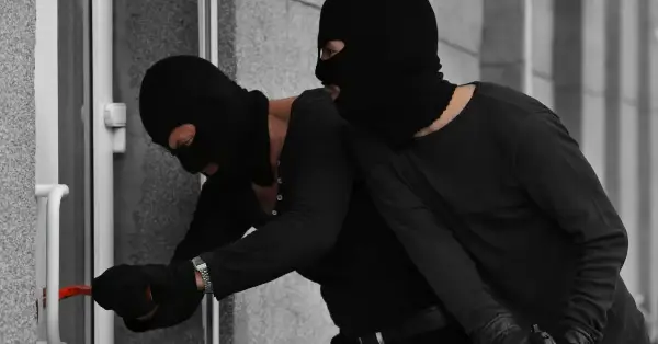Краделе тутун од сушари, земјоделска механизација: уапсени две лица во Радовишко
