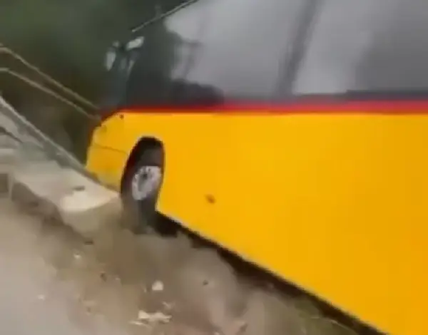 (Видео) Автобус излетал од патот во близина на Стенче