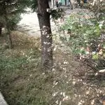 БЕЛЕЖИМЕ, РЕАГИРАМЕ И МЕНУВАМЕ