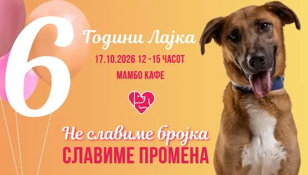 „Шест години Лајка-не славиме бројка, славиме промена“